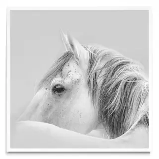 Sueños, Fotografía, Adriana Regueiro - comprar online