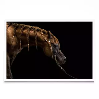 The Arabian Horse, Fotografía, Adriana Regueiro - comprar online