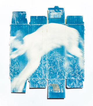 Desencajada, Print de Cianotipia, Clara Z - comprar online