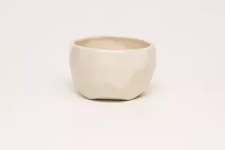Tazón Ártico - buy online