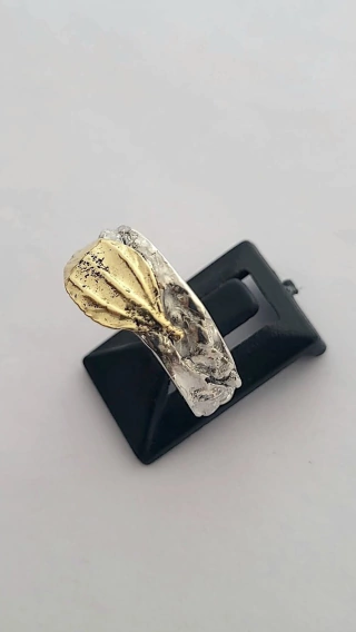 Anillo, Otoñal
