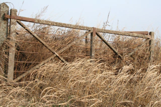 Fotografía Campo, Juan Pavlovsky