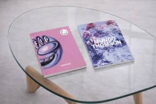 Colección curatorial – Tiempo, Percepción y Cultura Pop