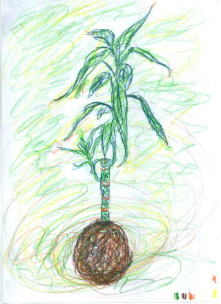 Kokedama.jpg, Ilustración Original, Ariel Gif - comprar online