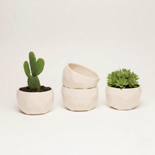 Tazón Ártico, Set x4 - comprar online