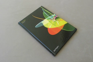 Tobias Rehberger, Private Matters