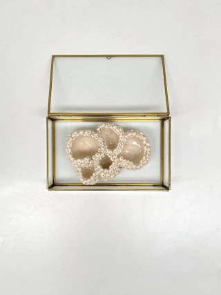 El vacío adentro VII, 16 x 23 cm, Cecilia Nigro