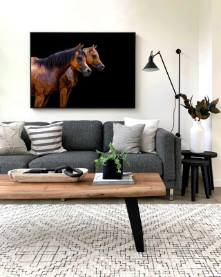 Refractario, Fotografía, Adriana Regueiro - comprar online