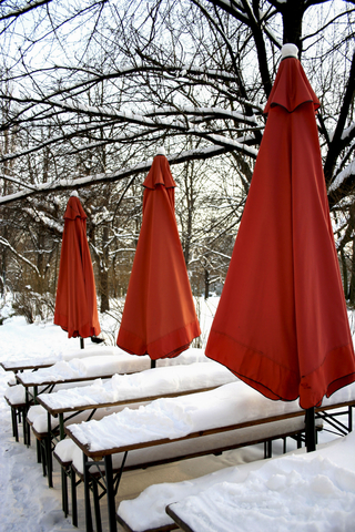 White-Red, Fotografía, Celeste Najt