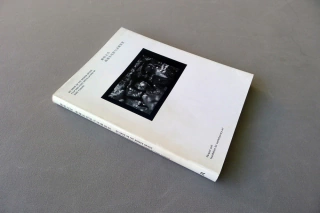 Yang Fudong, No snow on the broken bridge film and video installations