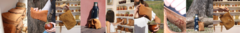 Banner de la categoría YERBERAS