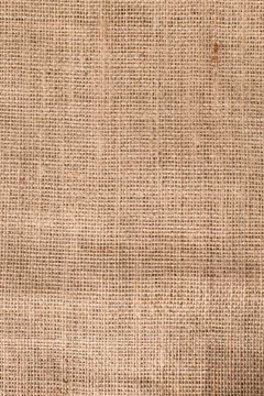 34 CAMINOS DE ARPILLERA en internet