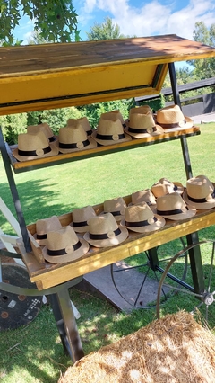 DANDY x 20 - tienda online