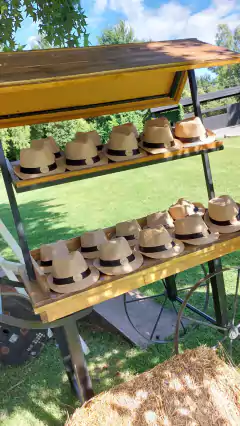 Imagen de DANDY x 20