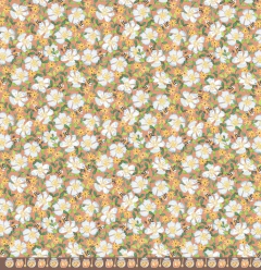 Folha para Scrapbook - Coleção My Kitchen - MMCMK-05 na internet