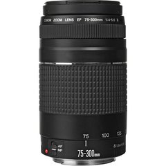 Lente Canon EF75-300mm F4-5.6 III - comprar online