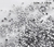 Strass Similar Swarovski Cristal Incolor - tam. 1.5mm