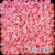 Margarida AB Rosa Claro - tam 3mm