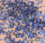 Strass Vidro Cristal Azul Hortência - tam. 2mm