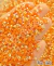 Margarida Aurora AB Laranja - tam 3mm