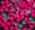 Strass Metal Sextavado Rosa Pink Neon