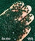 Flor Jasmim Micro Verde - tam. 3mm