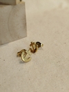 Aretes imaginería - comprar online