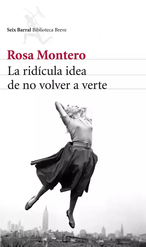 Libro La Rídicula Idea De No Volver A Verte ROSA MONTERO