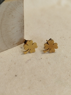Imagen de Aretes imaginería
