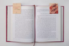 Separador de libros con imán