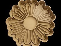 flor daisy