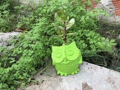 Maceta Buho - comprar online