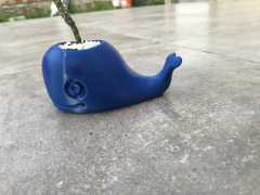 Maceta Ballena - tienda online