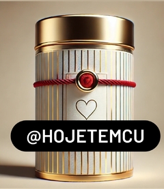 BOX SURPRESA HOJETEMCU