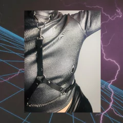 Imagen de Arnés / Choker desmontable 2 en 1 ACH21