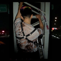 Arnés AY - con accesorio para muleta - - comprar online