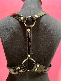 Arnés ASC - Ucronía