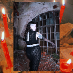 Arnés Carmilla - tienda online