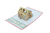 Sizzix Thinlits Dies By Lisa Jones 19/Pkg Pop-Up Garden Ch3 en internet