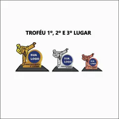 KIT 02 DE TROFÉUS E MEDALHAS KARATÊ na internet