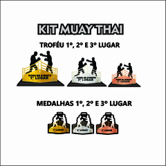 KIT DE 03 TROFÉUS E MEDALHAS MUAY THAI