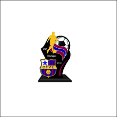 KIT 07 DE TROFÉUS E MEDALHAS FUTEBOL DE CAMPO