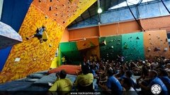 Parede de escala sob medida (Valor cobrado Mt²) - loja online