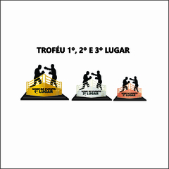 KIT DE 03 TROFÉUS E MEDALHAS MUAY THAI na internet