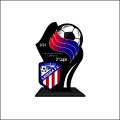 KIT 01 DE TROFÉUS E MEDALHAS FUTEBOL DE CAMPO - Strongfit Equipamentos