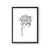 Cuadro Line Art Botanicals