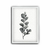 Cuadro Neutral Botanicals XIV en internet