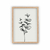Cuadro Neutral Botanicals XI en internet