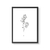 Cuadro Line Art Botanicals II