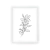 Cuadro Line Art Botanicals VII en internet